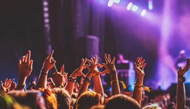 Group of people enjoying a concert